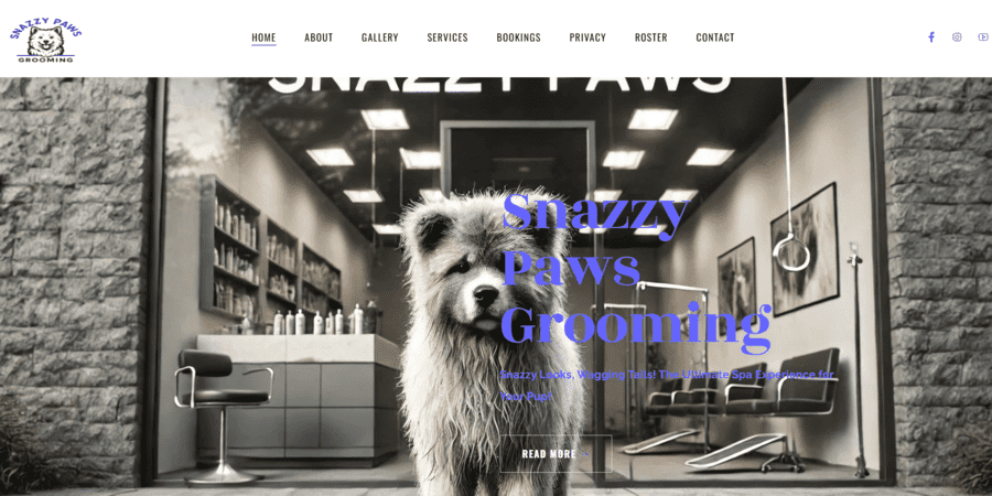 https://snazzypawsweb.vercel.app/